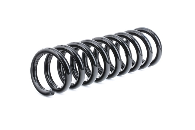 RIDEX 188C0435: Fahrwerksfeder Hinterachse