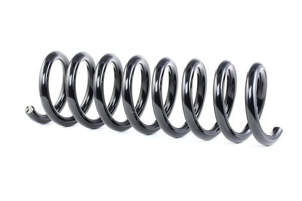 RIDEX 188C0441: Fahrwerksfeder Hinterachse
