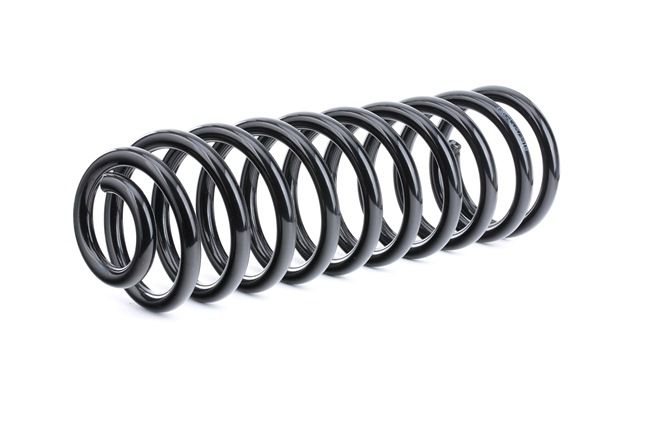 RIDEX 188C0452 Federn VW PASSAT Variant (3A5, 35I) 1.8 90 PS Benzin