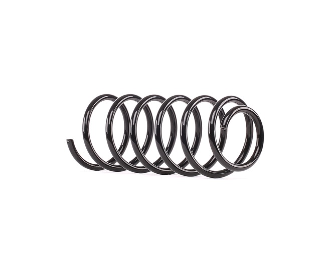 RIDEX 188C0453 Fahrwerksfeder VW Caddy 2 Kastenwagen (9K9A) 60 PS Benzin Kosten