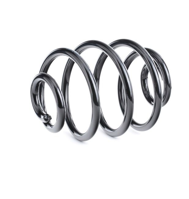 RIDEX 188C0481: Fahrwerksfeder Hinterachse