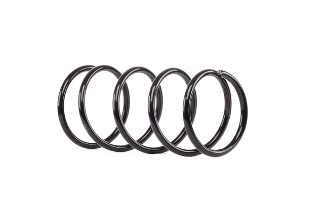RIDEX 188C0487: Fahrwerksfeder Vorderachse