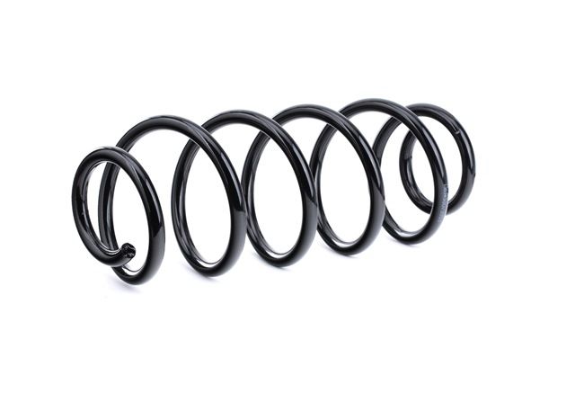 RIDEX 188C0492 Federn AUDI A4 Limousine (8D2, B5) 1.8 T 180 PS Benzin