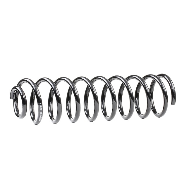 RIDEX 188C0496: Chassisveer Achteras
