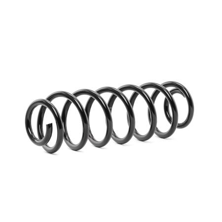 RIDEX 188C0497: Fahrwerksfeder Hinterachse