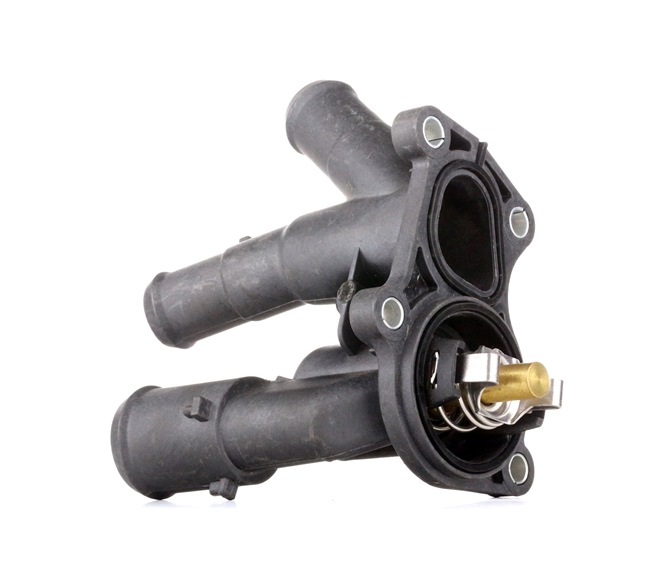 RIDEX 316T0170 Kühlwasserthermostat FORD C-MAX (DM2) 116 PS Benzin Kosten