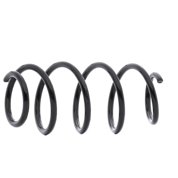 RIDEX 188C0503 Federn AUDI A3 Schrägheck (8P1) 1.6 FSI 115 PS Benzin