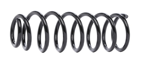 RIDEX 188C0519: Fahrwerksfeder Hinterachse