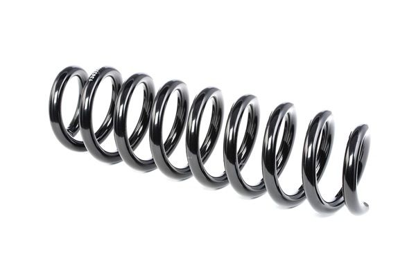 RIDEX 188C0529: Fahrwerksfeder Hinterachse