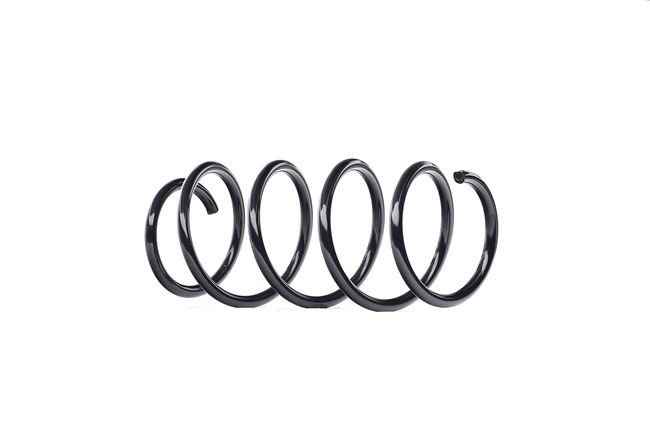 RIDEX 188C0530: Fahrwerksfeder Vorderachse