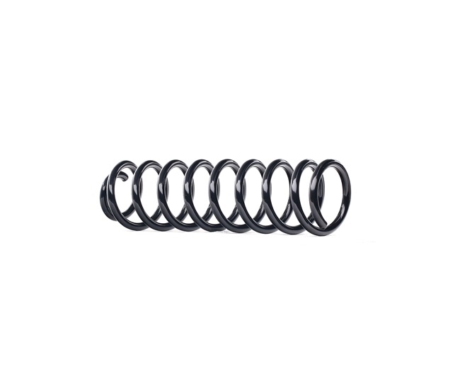 RIDEX 188C0576: Fahrwerksfeder Vorderachse