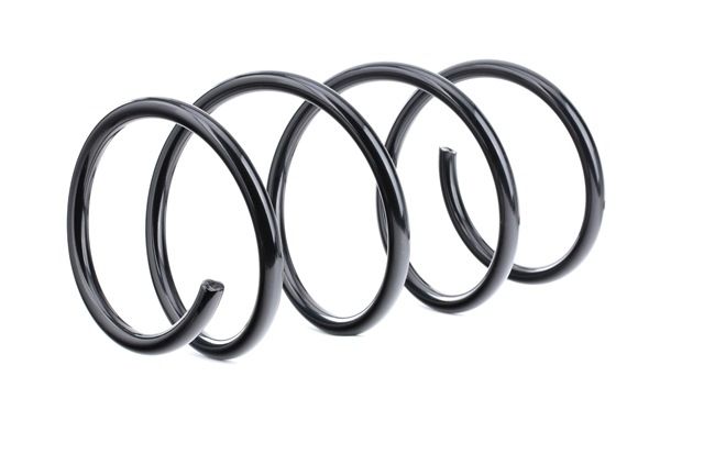 RIDEX 188C0593: Fahrwerksfeder Vorderachse
