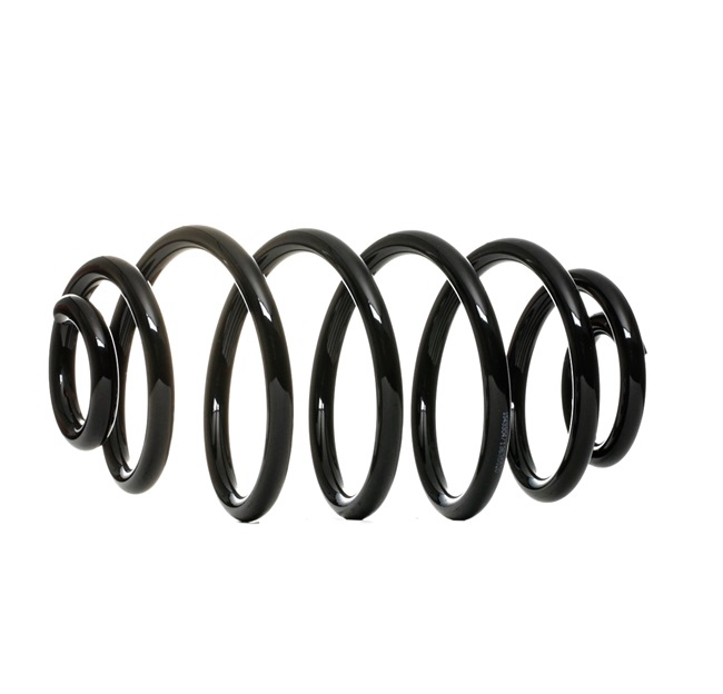 RIDEX 188C0597: Chassisveer Achteras