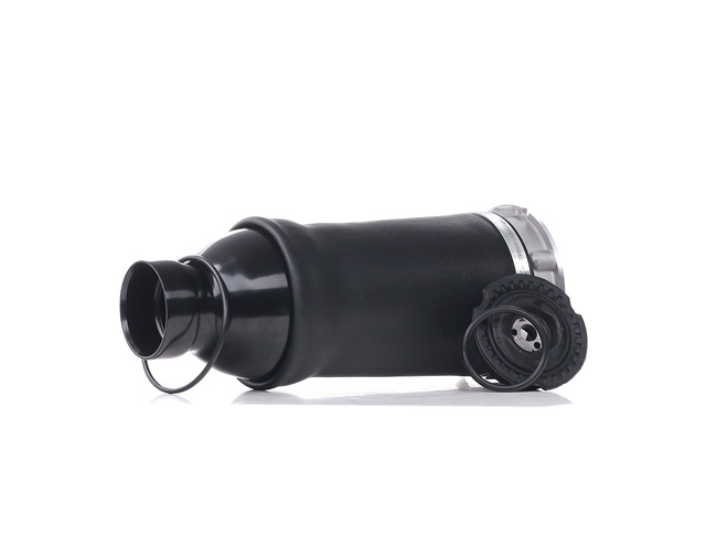 RIDEX 4119A0003: Luftfeder, Fahrwerk Vorderachse rechts, Vorderachse links