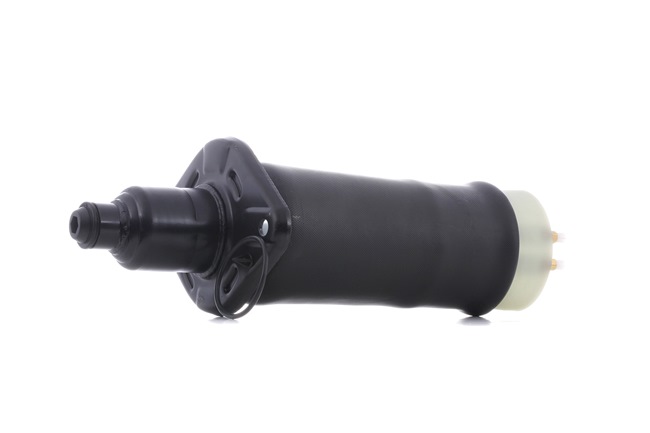 RIDEX 4119A0007: Luftfeder, Fahrwerk hinten links