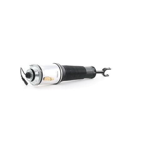 RIDEX 4118A0002 Ammortizzatore pneumatico VOLKSWAGEN Phaeton (3D1, 3D2, 3D3, 3D4, 3D6, 3D7, 3D8, 3D9) 335 CV Benzina costo