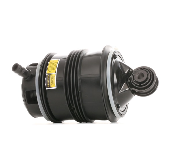 RIDEX 4119A0021: Luftfeder, Fahrwerk Hinterachse links