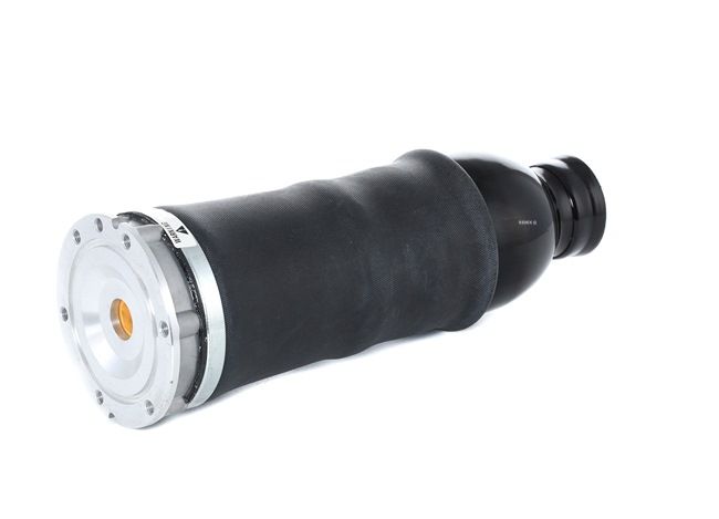 RIDEX 4119A0022: Luftfeder, Fahrwerk Vorderachse