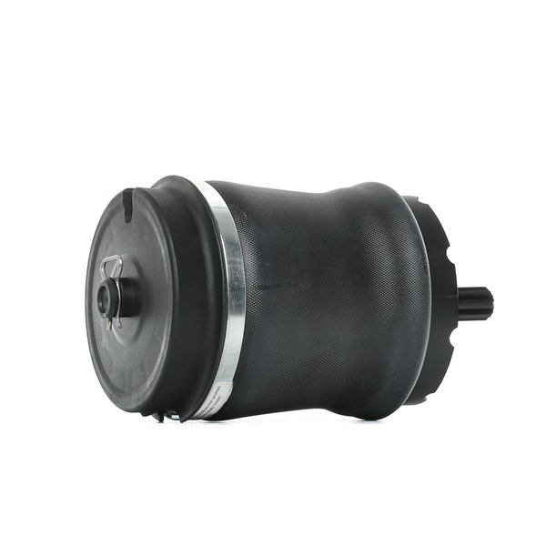 RIDEX 4119A0024: Luftfeder, Fahrwerk Hinterachse