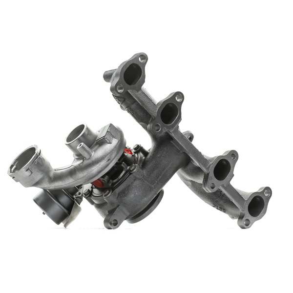 RIDEX 2234C0089 Turbocharger VOLKSWAGEN Transporter 5 (7JD, 7JE, 7JL, 7JY, 7JZ, 7FD) 105 Pk Diesel kosten
