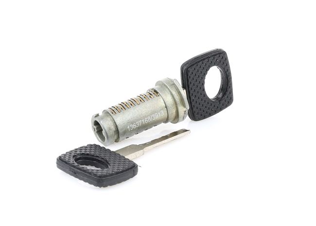 RIDEX 1378L0013: Cylinder zamykany