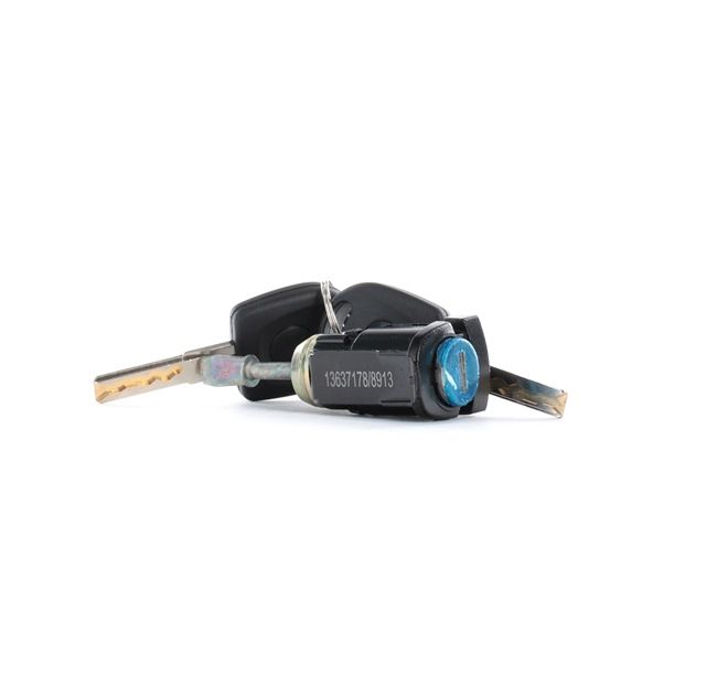 RIDEX 1378L0018 Schließzylinder VW Golf 4 Schrägheck (1J1) 170 PS Benzin Kosten