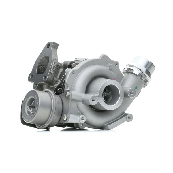 RIDEX 2234C0113 Turbodmychadlo DACIA LOGAN EXPRESS (FS_) 88 HP Diesel cena