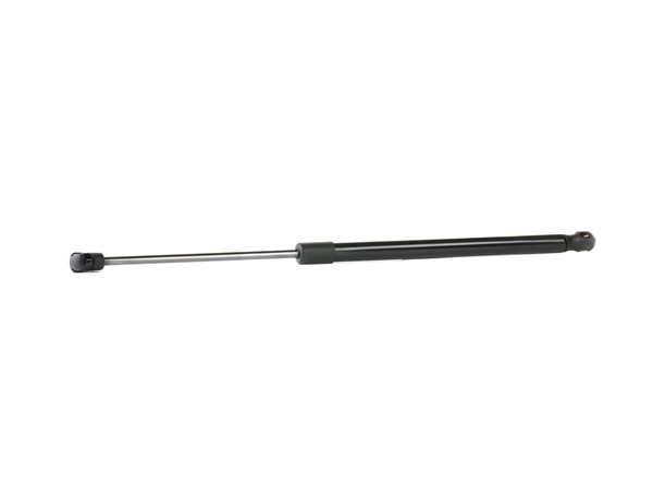 RIDEX 219G0859: Heckklappendämpfer 492mm
