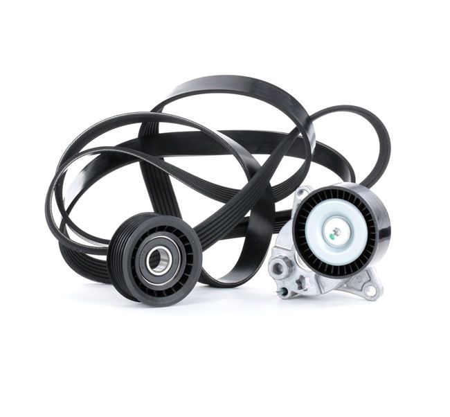 RIDEX 542R0042 Σετ ιμάντων poly-V MERCEDES-BENZ E-class Φορτηγό πλατφόρμα / Σασσί (VF210) 170 PS Πετρέλαιο κόστος