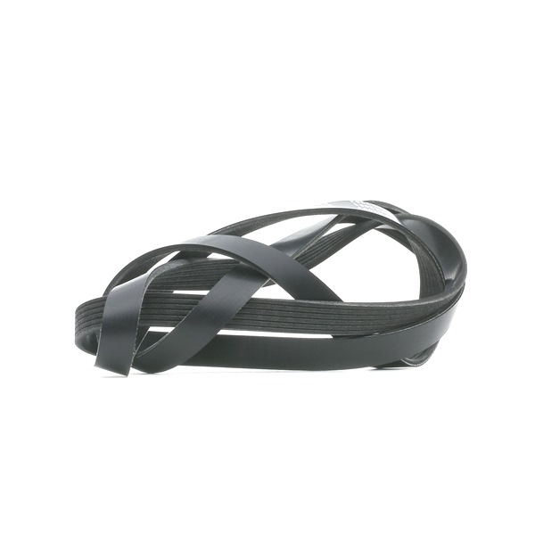 RIDEX 305P0333 Multiriem VOLKSWAGEN TRANSPORTER 4 Bus (70XB, 70XC, 7DB, 7DW) 102 Pk Diesel kosten