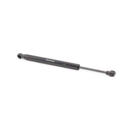 RIDEX 219G0635: Baklukedemper på begge sider, 314mm