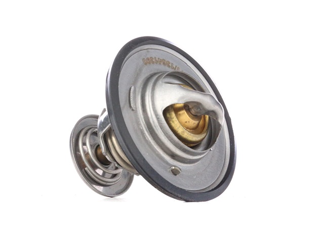 RIDEX 316T0021: Thermostaat, koelvloeistof 82°C, Met pakking
