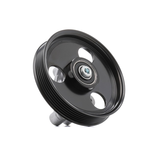 RIDEX 310T0202 Feszítőgörgő, hosszbordás szíj RENAULT CLIO 3 (BR0/1, CR0/1) 88 LE Benzin ár
