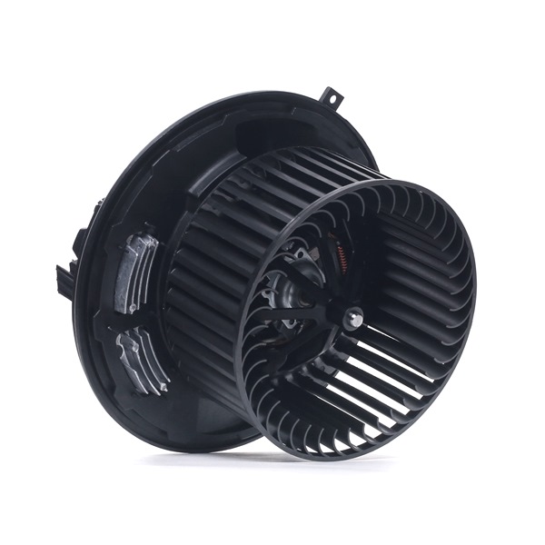 RIDEX 2669I0062: Pulseur d'air habitacle pour véhicules avec climatisateur automatique, avec résistance