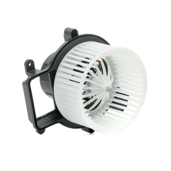 RIDEX 2669I0073: Salongipuhur 12V, Kliimaseadmega sõidukile