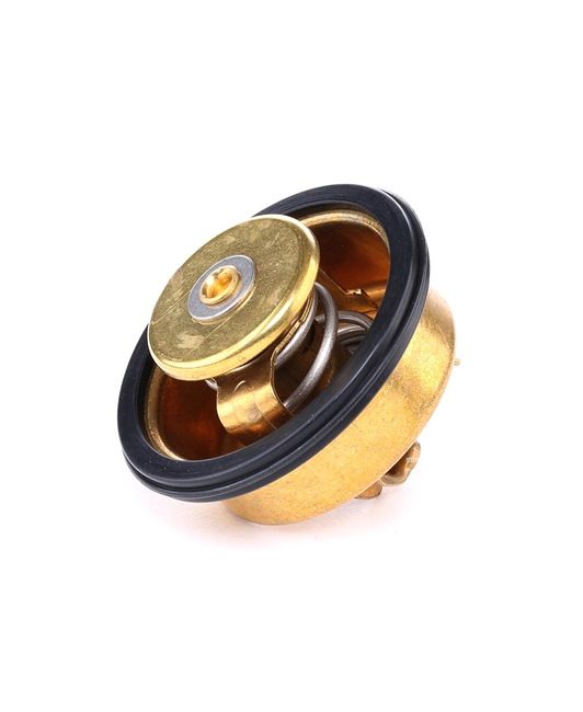 RIDEX 316T0141: Kühlwasserthermostat 87°C, mit Dichtung
