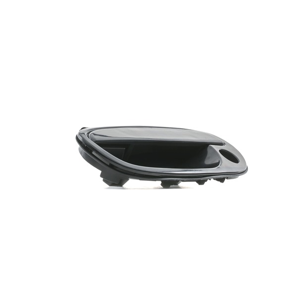 RIDEX 1373D0037: Manecilla de puerta Delante, izquierda