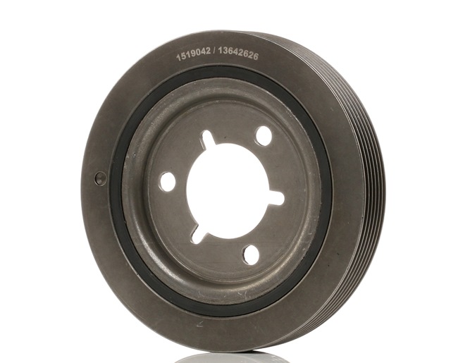 RIDEX 3213B0138: Krukaspoelie