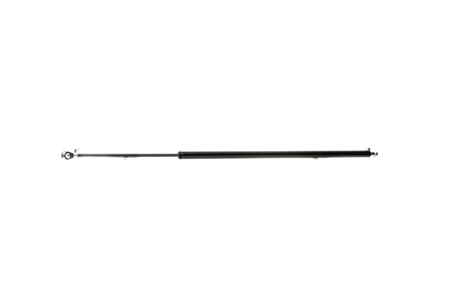 RIDEX 219G0651: Heckklappendämpfer 928mm