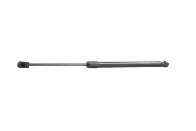 RIDEX 219G0660: Baklukedemper 485mm