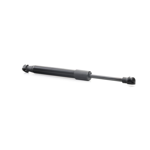 RIDEX 219G0692: Heckklappendämpfer