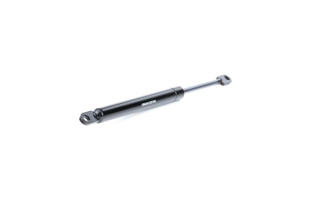 RIDEX 219G0700: Gasveer achterklep Achter, 305mm