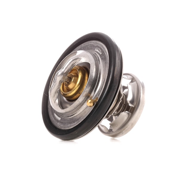 RIDEX 316T0188 Termostatas, aušinimo skystis SSANGYONG Rexton / Rexton 2 (GAB_) 180 AG dyzelinas kaina