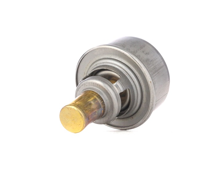 RIDEX 316T0235 Kühlwasserthermostat RENAULT SUPER 5 (B/C40_) 45 PS Benzin Kosten