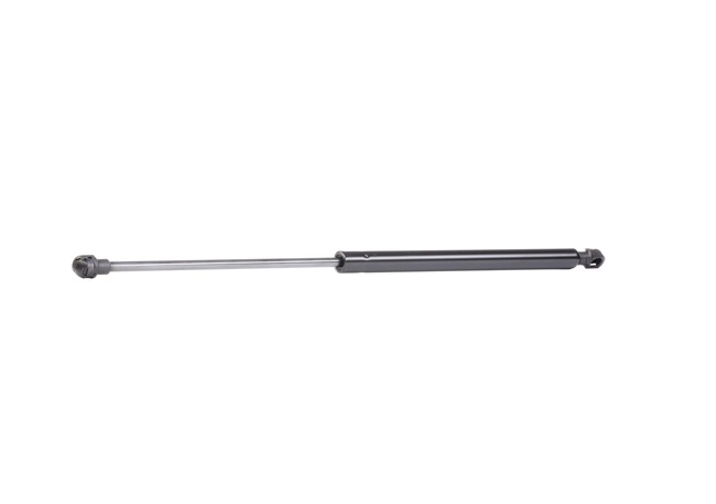 RIDEX 219G0770 Heckklappendämpfer CITROЁN C3 II (SC_) 82 PS Benzin Kosten