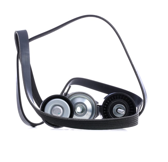 RIDEX 542R0046: Juego de correas trapeciales poli V