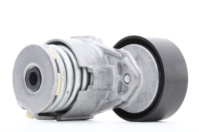 SKF VKM 36055 Rullo tenditore cinghia Poly-V RENAULT MODUS / GRAND MODUS (F/JP0_) 112 CV Benzina costo