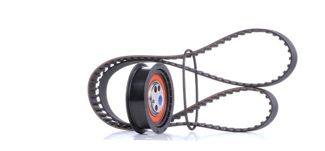 SKF VKMA 01001: Zahnriemensatz Zähnez.: 124