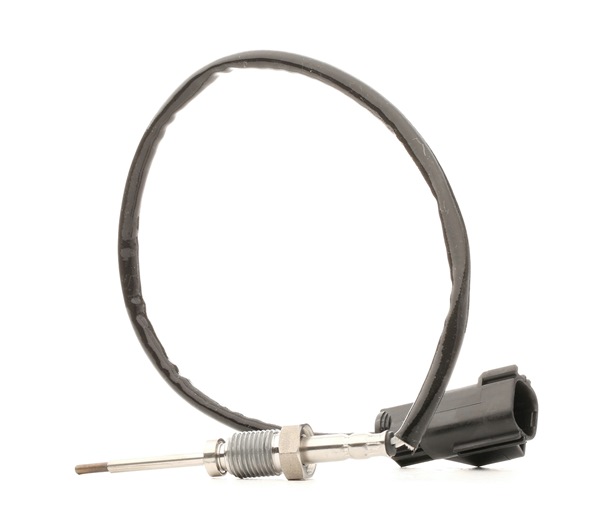 RIDEX 3938E0100 Sensor, temp. gas escape FORD C-MAX (DM2) 136 cv Gasóleo costo