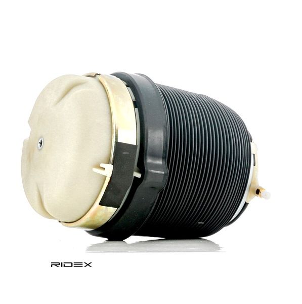 RIDEX 4119A0025 Molla pneumatica AUDI A6 Sedan (4F2, C6) 210 CV Benzina costo